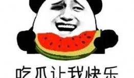 娱乐吃瓜酱学医的意义,趣味与知识的双重收获