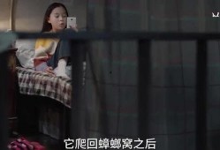 蛇姐最新爆料视频网站,视频网站内幕大曝光！